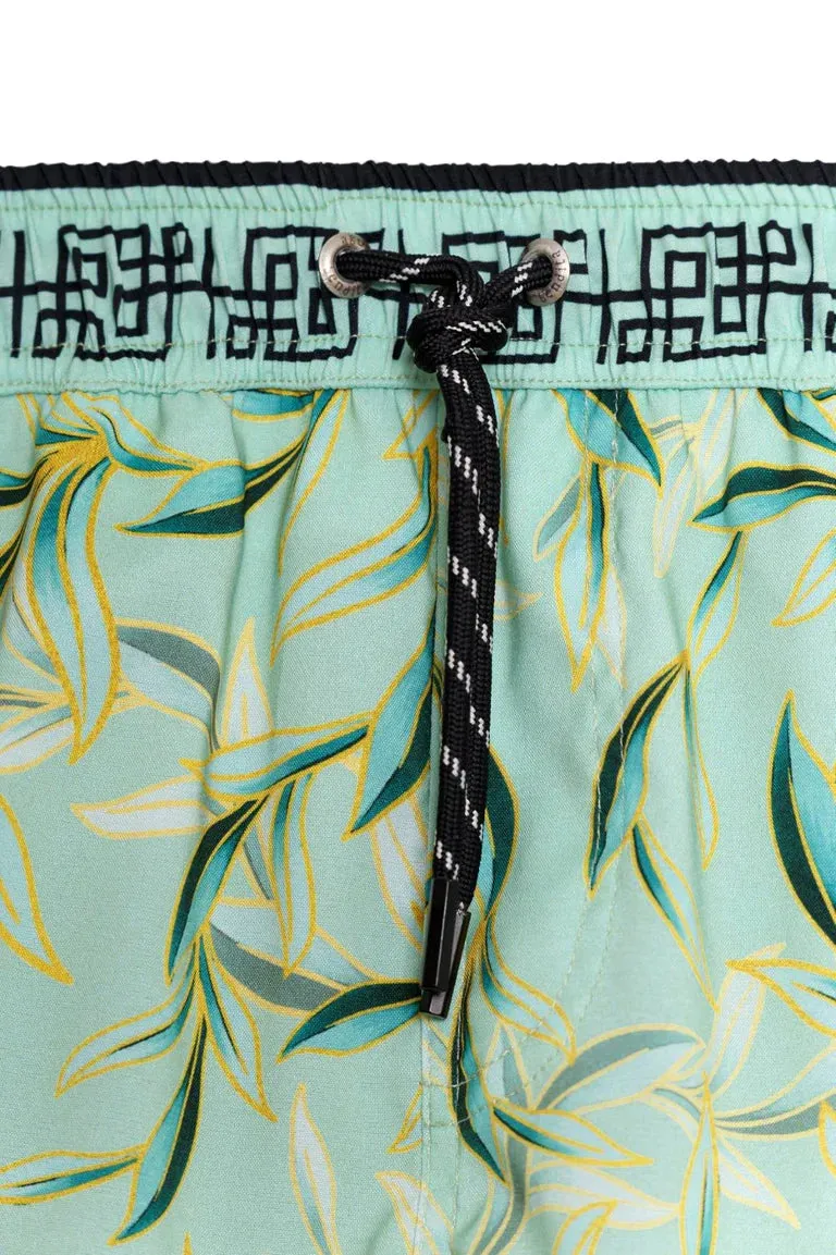 Agua Bendita Nick Korin Kids Trunk