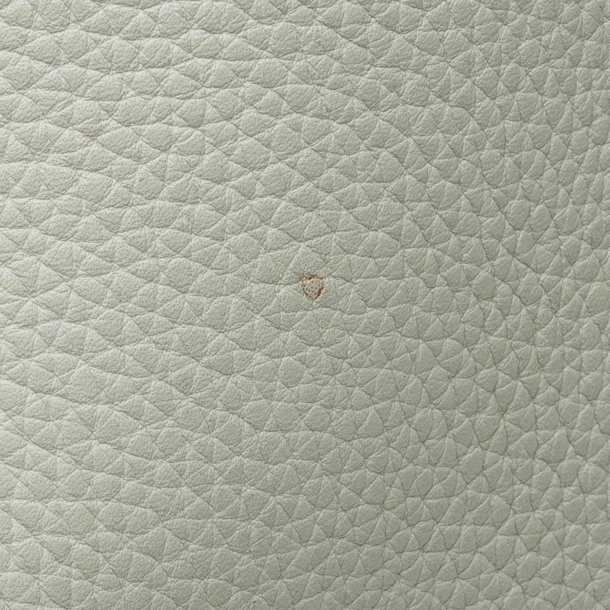 Celine Calfskin Phantom Luggage Tote (SHF-23576)