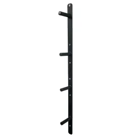 PRx Profile® 4-Peg Weight Storage